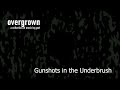 Gunshots in the Underbrush ~ goot