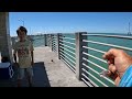 Non-Stop Action Using Cut Bait!! Fishing Fort Desoto Pier