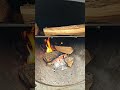 ASMR Workhorse 1975 Pits Firebox while Cooking some Ribs