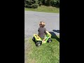 Harpers first scooter ride