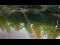 Summer Camping & Fishing “One last chance”