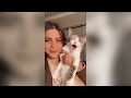 Funny animals compilation 2024 | episode 8 #animals #cat #funny