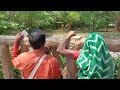 Family Visit to Nandanakanana || Part-2  #Lions