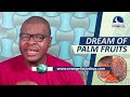 DREAM OF PALM FRUITS - Palm Kernel and Palm Tree Meaning