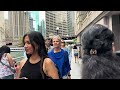 [4K] Chicago, IL 🇺🇸 Walking Tour | Downtown 2024 | State Street | Chicago Riverwalk | Virtual Walk