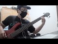 Payphone - Maroon 5 Bass Cover