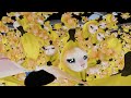 360° BANANA CAT, but its doubled 32,768 Times.... | 4K VR 360 Video