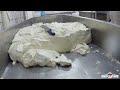 CHEESE Making Process From Buffalo Milk in Factory - Buffalo Farming and Harvesting Milk 🧀