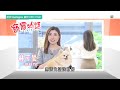 寵寵物語｜Pet Talks｜寵物美容 美貌與安全並重｜TVB_Variety