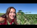 Fertilizing 36 MILLION Corn Plants