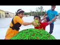 Must Watch New Top Special Trending Comedy Video 😎 Amazing Funny Video 2023 By Fun Tv 420