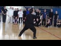 Tai Chi Forms 1 - Chen Xiao  Wang