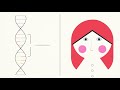 How CRISPR lets you edit DNA - Andrea M. Henle