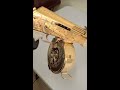 24k Gold plated Ak-47 100% Engraved  custom grips #Goldplated #Ak-47 #engraved #firearms