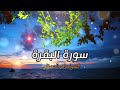 الشيخ ماهر المعيقلي  سورة البقرة  النسخة الأصلية  Surat Albaqra Official Audio