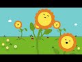 The Parts of a Plant Song | Science Songs | Scratch Garden