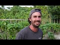 Homesteading in Vanuatu (Remote Off-Grid Island Tour)