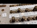 COIN ROLL HUNTING 100,000 PENNIES! You Won’t Believe The Finds!