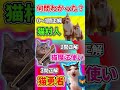 猫ミーム3択クイズ！！【プロレベル】　#猫ミーム #猫マニ #shorts #fyp #クイズ