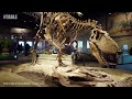 CHICAGO - The Field Museum of Natural History, Downtown Chicago, Illinois, USA, Travel, 4K UHD