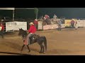 Bull Riding at the Oak Grove Rodeo