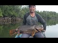 Monster Bumblebee Grouper, Mancing Muara bersama @royfishing6858 Kapten dengan skill di atas rata-rata