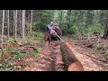 New axe! | Fiskars X27 | Cutting Firewood | Stihl 441