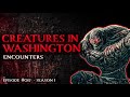 36 SCARY STORIES IN WASHINGTON STATE - ENCOUNTERS WITH CRYPTIDS