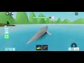Roblox Shark Bite gameplay (Episode 1)