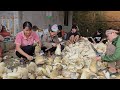 How to harvest bamboo shoots.  The process of drying bamboo shoots for sale to the market. (Ep 193).