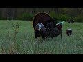 Spring Turkey Hunting - Ohio 2023