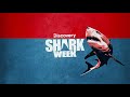 Meet The Joker: A Shark With a Giant Scar! | Shark Week