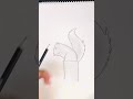 How to make a squirrel  Art video