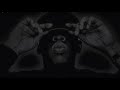 FREE Jay Z//Nas//Jadakiss type beat 2020 (beats4passion)