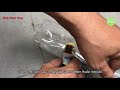 Tái chế chai nước làm bẫy diệt ruồi vàng tại nhà không tốn tiền | Nha Minh Vlog