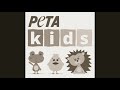 Peta Music Video: The biggest mistakes ever done