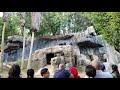 Chimp attack with stick at LA Zoo