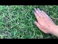 Me touching grass