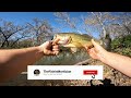 Creek Fishing for Bass Leads to Unexpected Personal Best! (Biggest I've Seen)