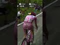 🤗 Was this gesture from Tadej Pogačar the fan moment of the 2024 Giro d'Italia?  #gcn #giroditalia