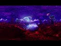 Amazing 8K VR 360° Video - Fantasy World - Created Using Unreal Engine 5 | Tiltlabs