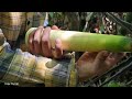 FULL VIDEO: 300 days harvesting agricultural products. bring to the market to sell | Triệu Thị Dất