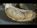 Belah Durian Sikasur Hasil Oleh Oleh Gowes 3-2-24