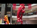 Chinese New Year Celebration Market City Sydney 2017