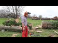 #161 I Bought the Best Mass Produced Chainsaw on the Market for the Homestead