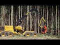 Most Satisfying Forestry Machines AND Heavy Equipment In The World