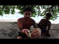 Bat Catch And Cook With Vanuatu Island Hunters