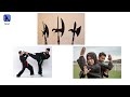 Every Martial Arts explained in 9 minutes