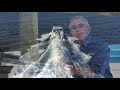 Discover the Innovative Hydro-Glide Foil System on Aquila 36 | Power Catamaran