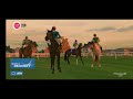 Jumping Horse Show | Rival Star Horse Racing #rivalstarhorseracing